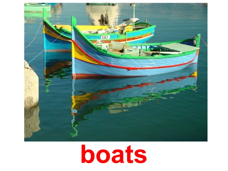 boats